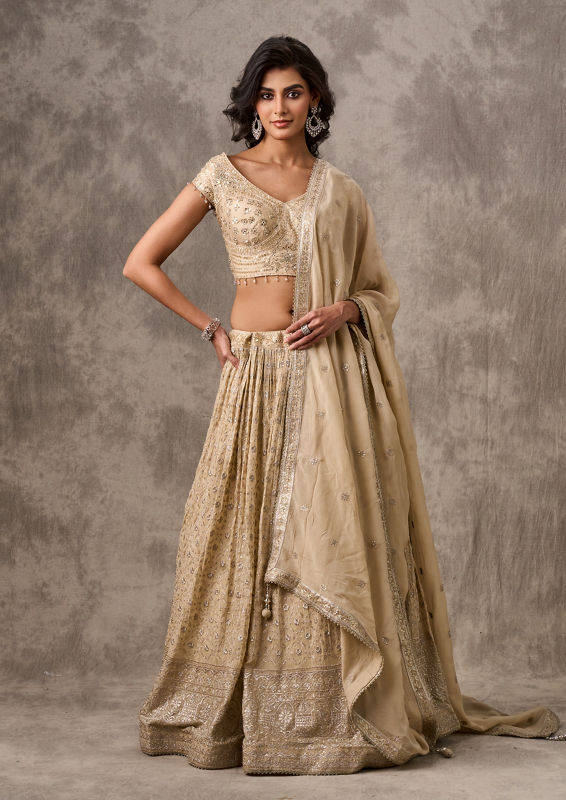Twamev Women Cream Chiffon Elegance Lehenga
