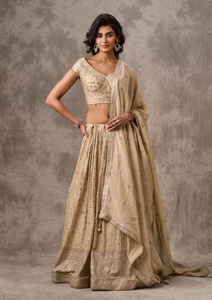 Twamev Women Cream Chiffon Zari Embroidered Lehenga