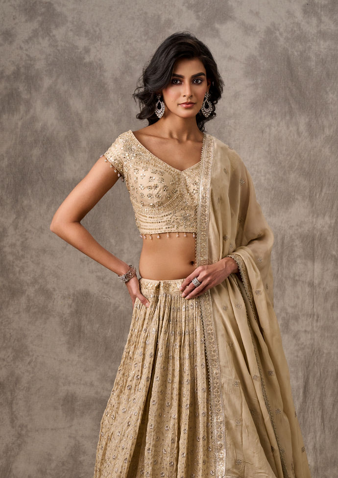 Twamev Women Cream Chiffon Zari Embroidered Lehenga