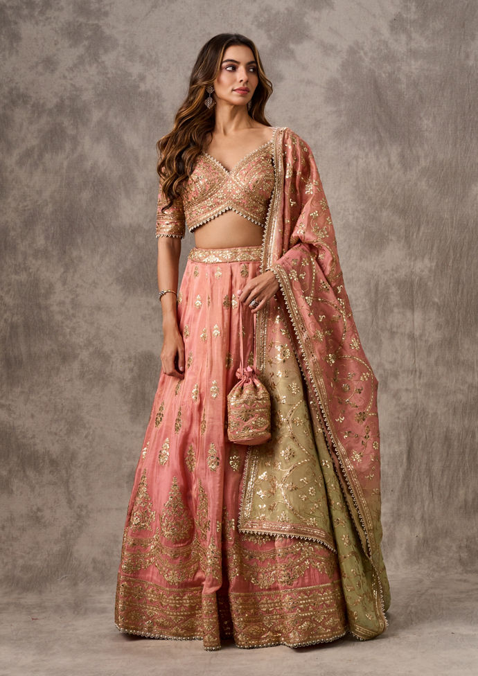 Twamev Women Gorgeous Pink Festivity Lehenga