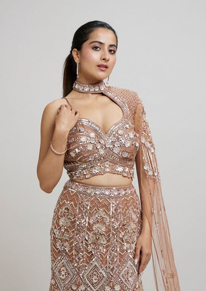 Twamev Women Regal Brown Net Lehenga