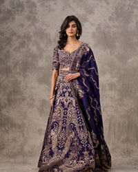 Twamev Women Purple Banarasi Brocade Zardosi Embroidered Lehenga