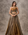 Golden Silver Ombre Tissue Embroidered Lehenga