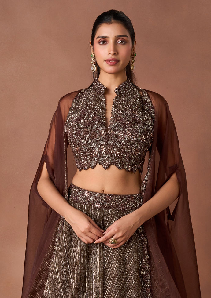 Twamev Women Brown Art Silk Lehenga Set