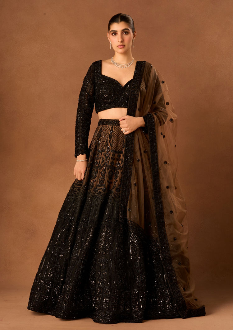 Twamev Women Black Net Lehenga with Embroidery