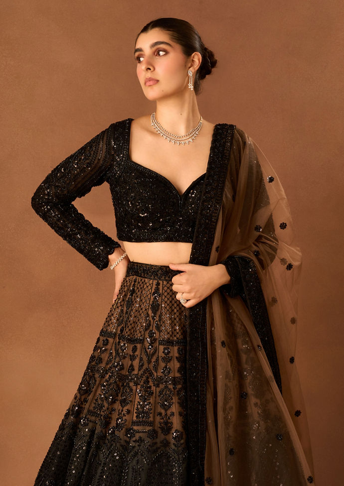 Twamev Women Black Net Lehenga with Embroidery
