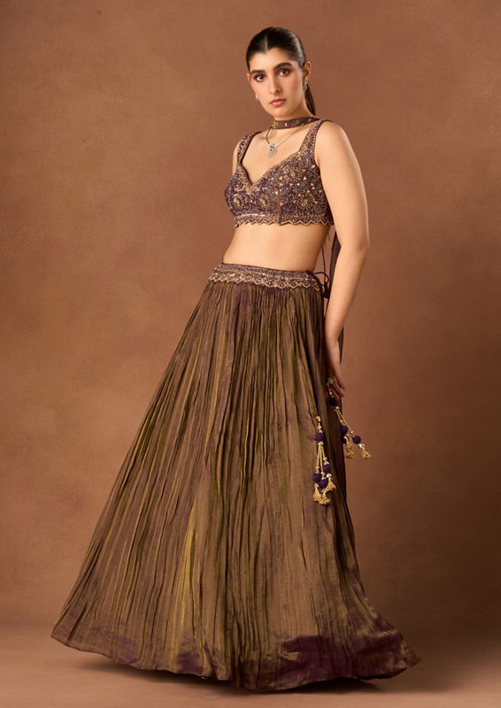 Twamev Women Purple Tissue Lehenga with Embroidery