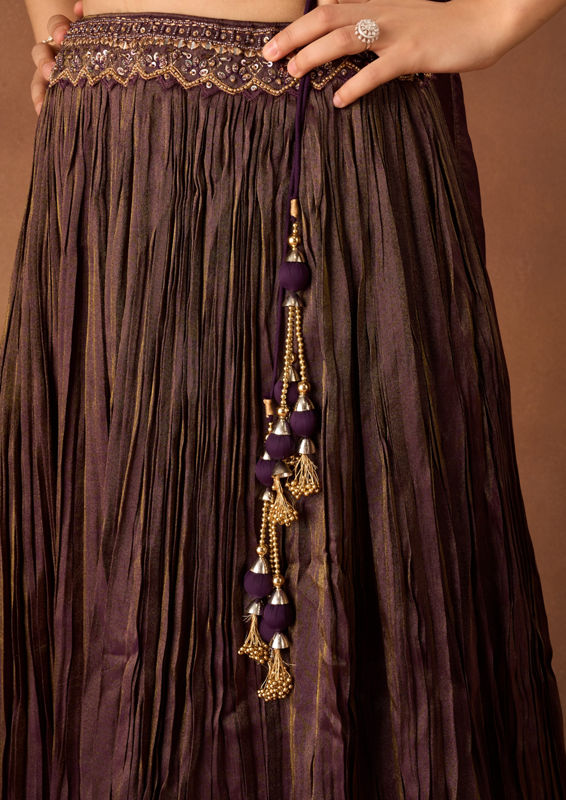 Twamev Women Purple Tissue Lehenga with Embroidery