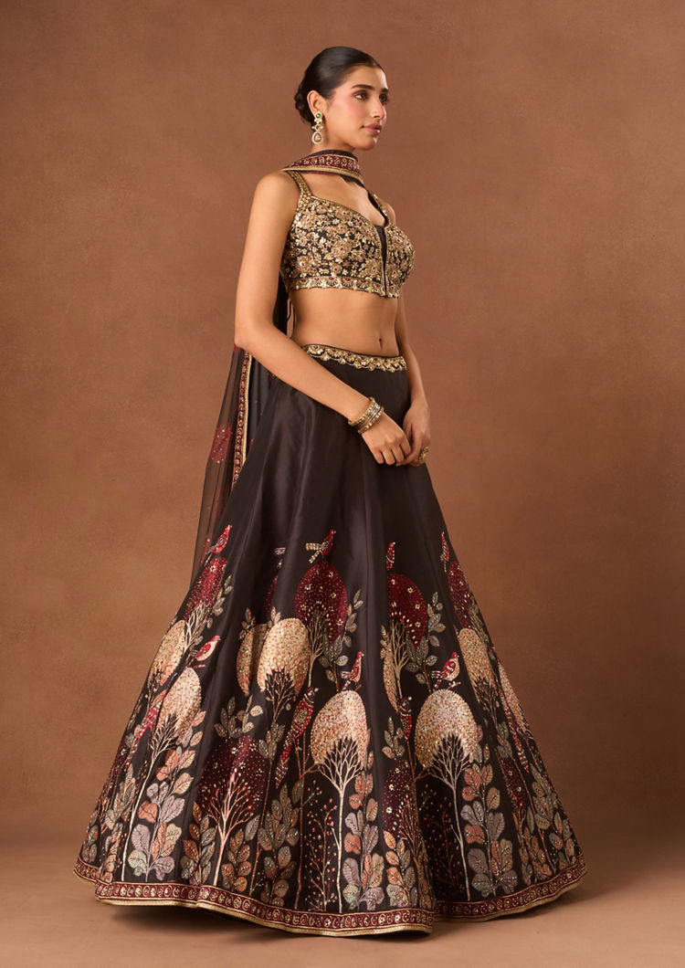 Twamev Women Black Silk Lehenga with Embroidery