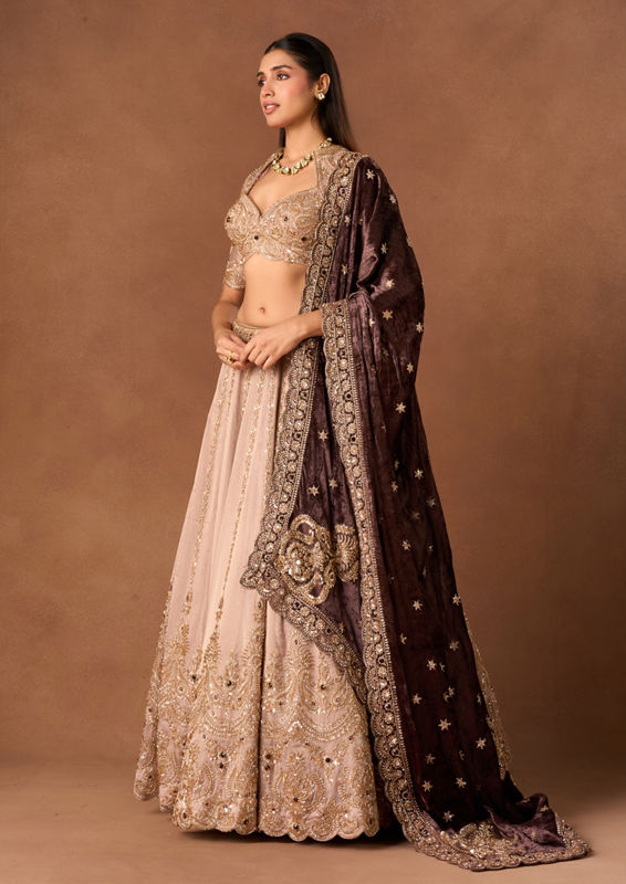 Twamev Women Purple Tissue Lehenga with Embroidery
