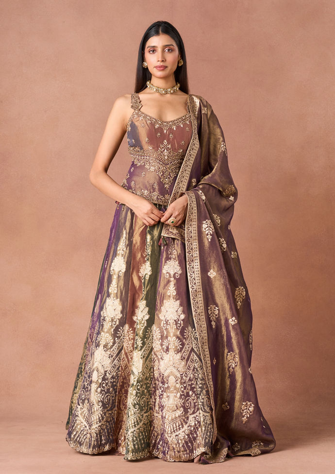 Twamev Women Beige Tissue Lehenga with Embroidery