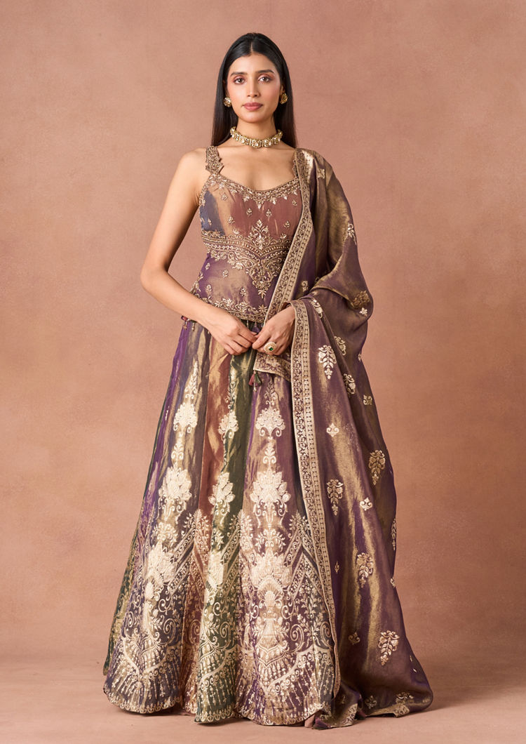 Twamev Women Beige Tissue Lehenga with Embroidery