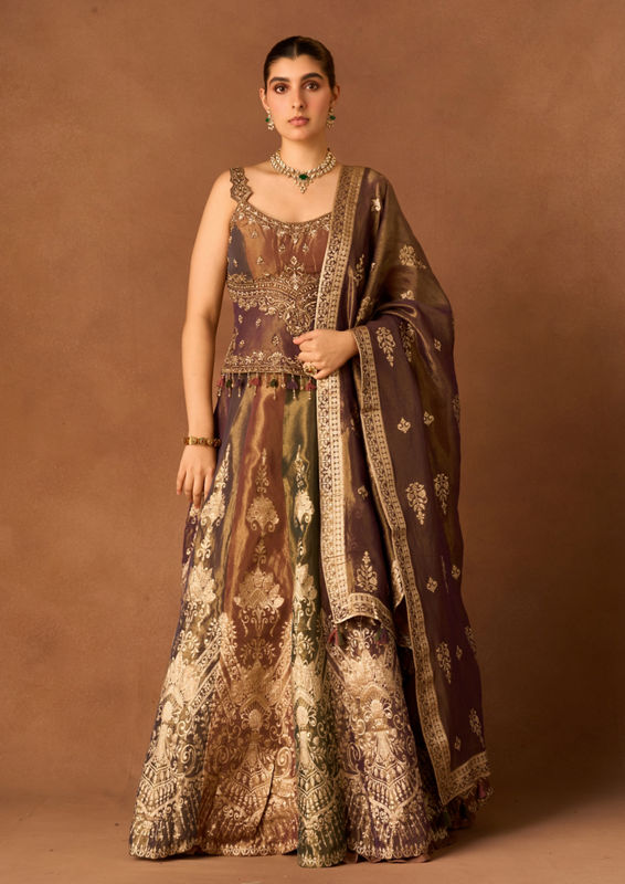 Twamev Women Beige Tissue Lehenga with Embroidery