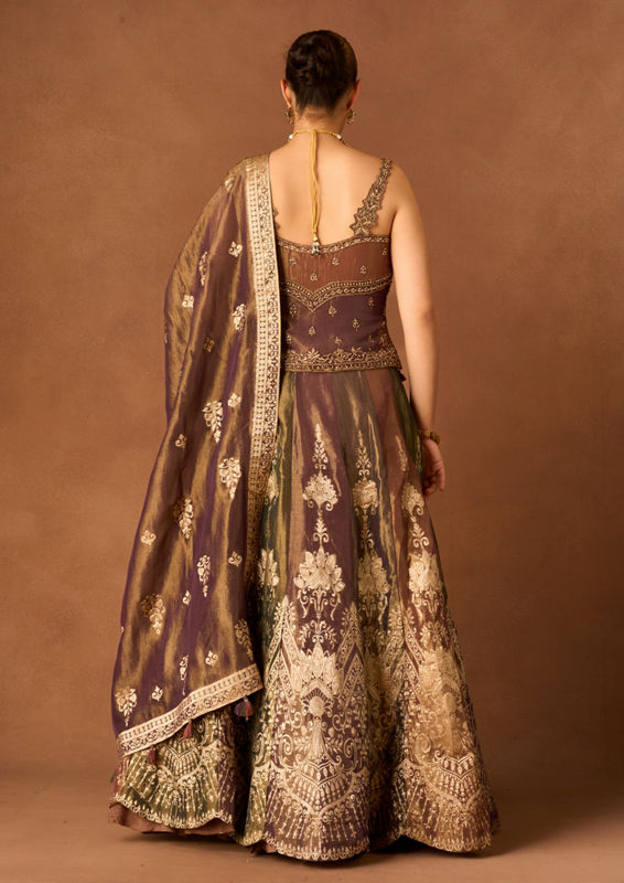 Twamev Women Beige Tissue Lehenga with Embroidery