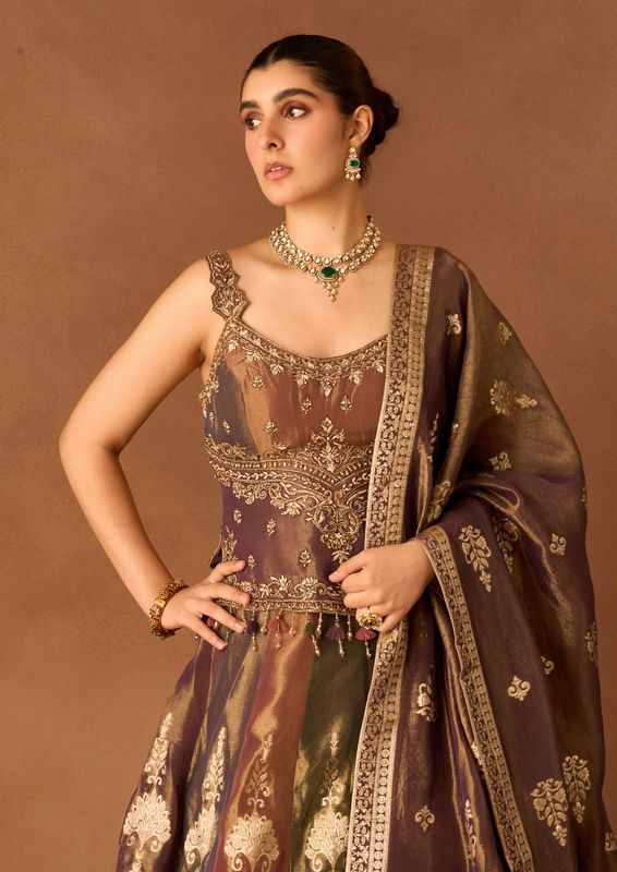 Twamev Women Beige Tissue Lehenga with Embroidery
