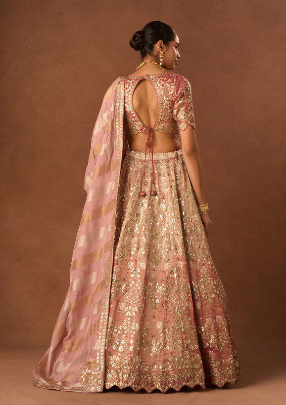 Twamev Women Pink Tissue Lehenga with Embroidery