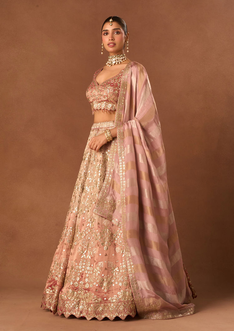 Twamev Women Pink Tissue Lehenga with Embroidery