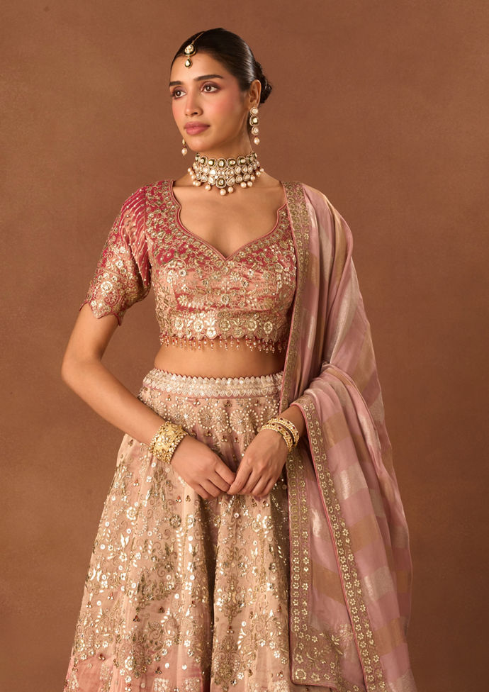 Twamev Women Pink Tissue Lehenga with Embroidery