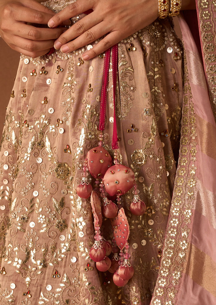 Twamev Women Pink Tissue Lehenga with Embroidery