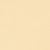 Elegant Beige Juti