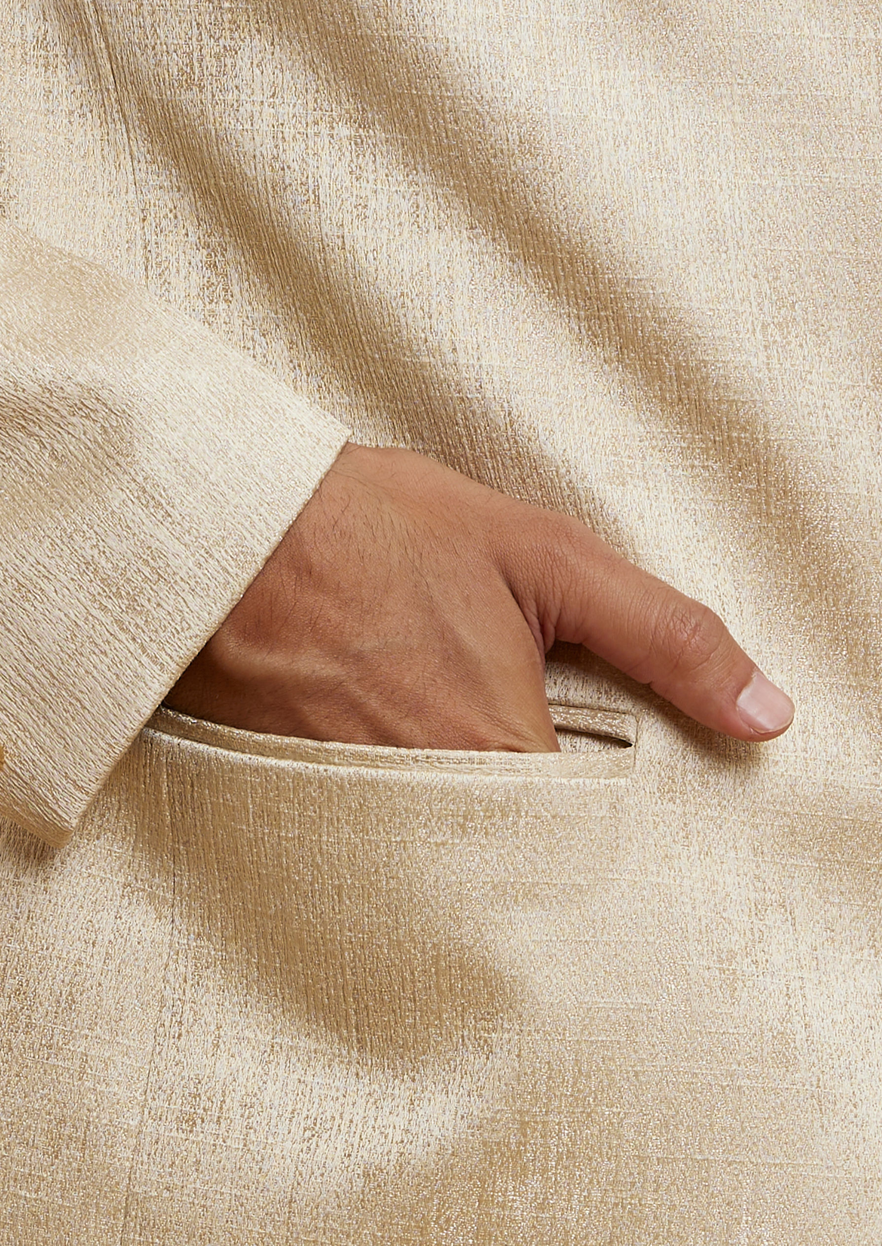 Twamev Men Twamev Fawn Brocade Jodhpuri Set