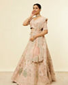 alt message - Mohey Women Golden Pink Sitara Embroidered Lehenga with Peacock Motifs image number 2