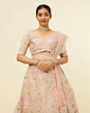 Mohey Women Golden Pink Sitara Embroidered Bridal Lehenga with Peacock Motifs