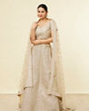 Beige Rhinestone Embellished Lehenga image number 0