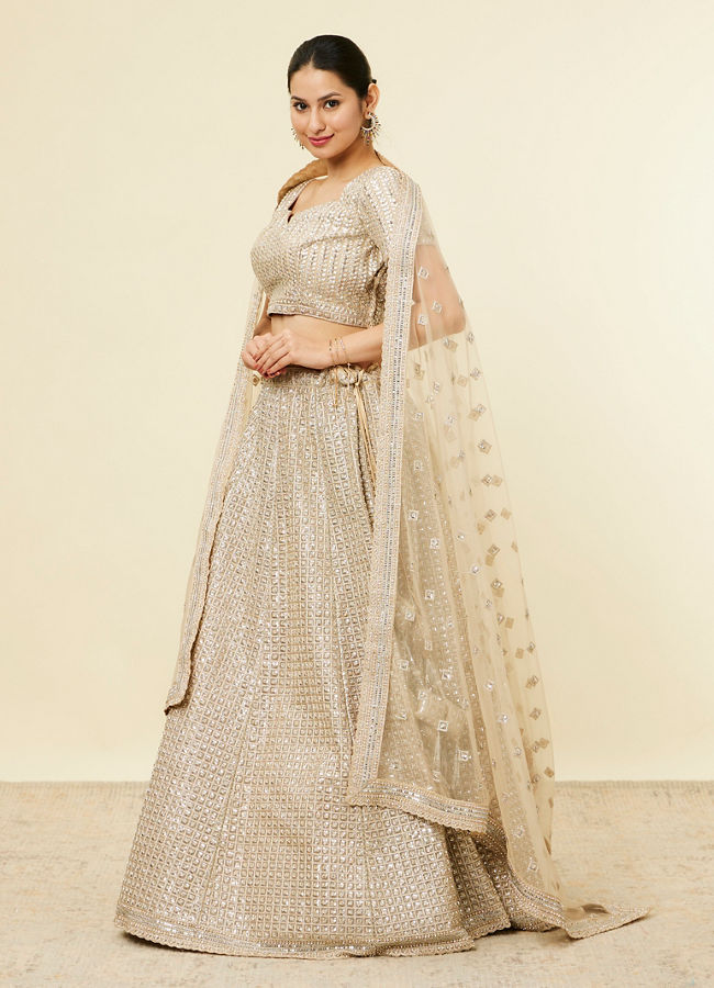 Beige Rhinestone Embellished Lehenga image number 2