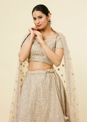 Mohey Women Beige Rhinestone Embellished Lehenga