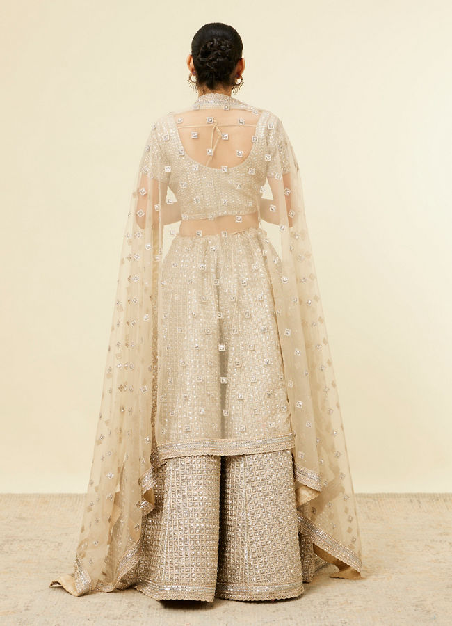 Beige Rhinestone Embellished Lehenga image number 4