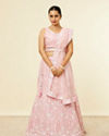 Mohey Women Light Pink Sitara Embroidered Lehenga