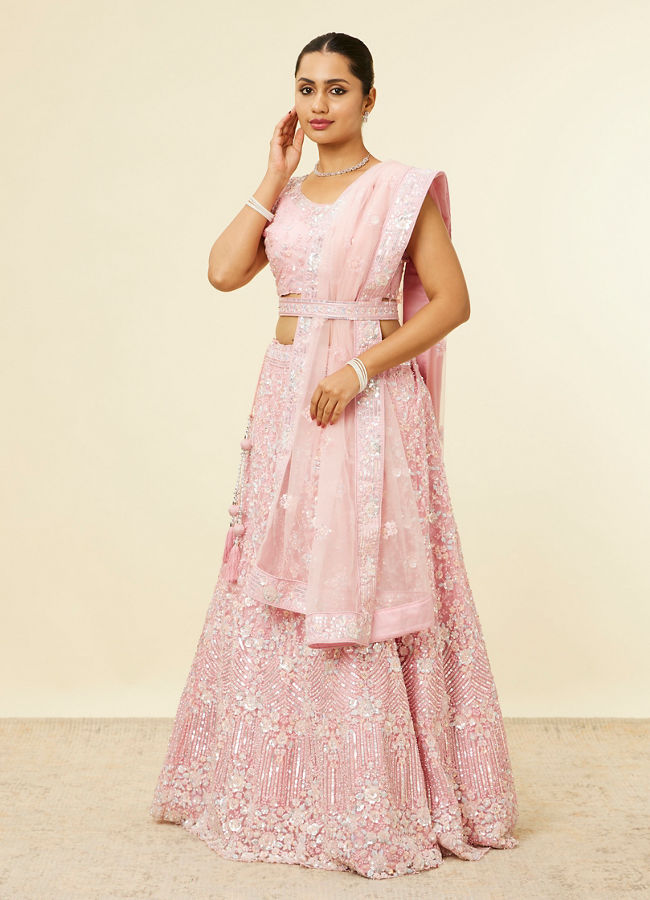 Mohey Women Light Pink Sitara Embroidered Lehenga