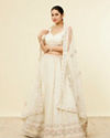Mohey Women Dark Cream Sitara Embroidered Bridal Lehenga