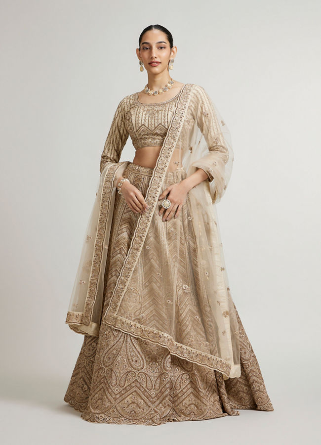 Mohey Women Sand Beige Paisley & Chevron Patterned Bridal Lehenga with Sequin Work image number 0