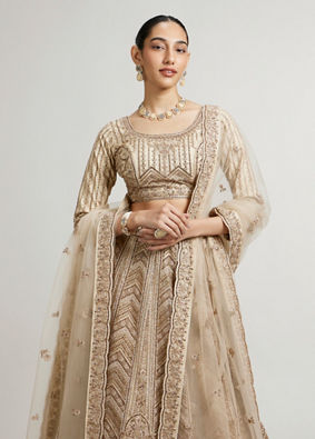 Mohey Women Sand Beige Paisley & Chevron Patterned Bridal Lehenga with Sequin Work image number 1