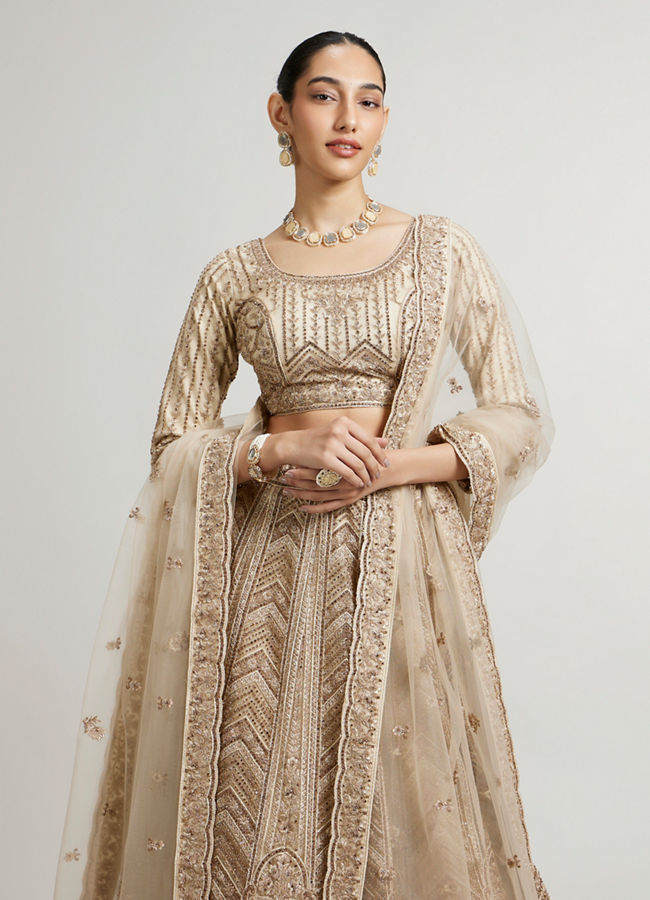 Mohey Women Sand Beige Paisley And Chevron Patterned Lehenga with Sequin Work