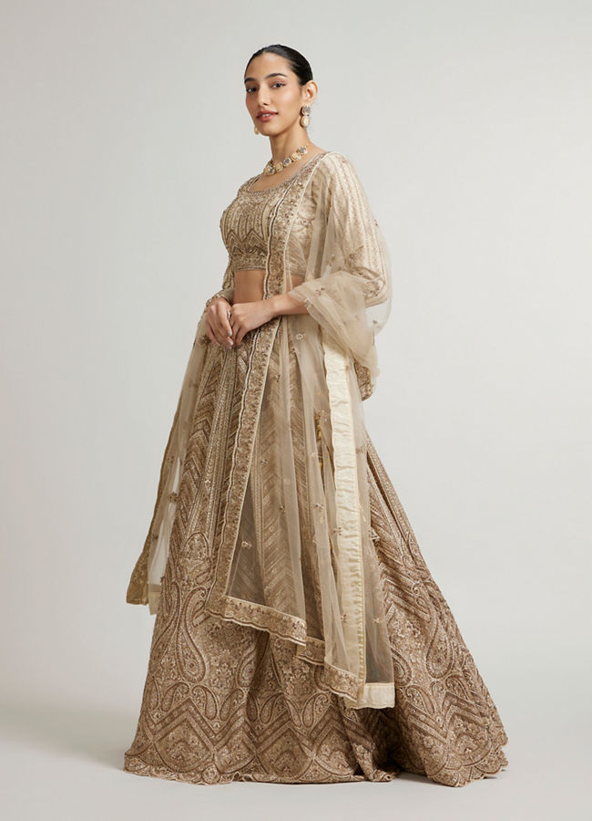 Mohey Women Sand Beige Paisley And Chevron Patterned Lehenga with Sequin Work