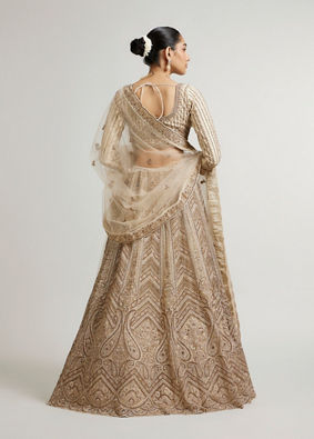 Mohey Women Sand Beige Paisley & Chevron Patterned Bridal Lehenga with Sequin Work image number 5