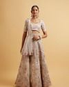 alt message - Mohey Women Ivory Cream Floral Stone Embellished Lehenga image number 0