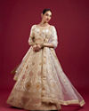 Mohey Women Dark Cream Paisley Leaf Patterned Bridal Lehenga