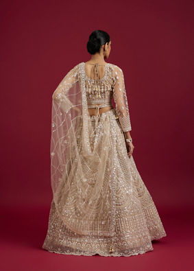 Mohey Women Soft Cream Rhinestone Embellished Lehenga with Fern and Jaal Patterns image number 4