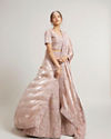 Blush Pink Lehenga with Imperial Motifs And Sequin Work And Potli Trims