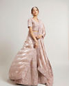 Mohey Women Blush Pink Bridal Lehenga with Imperial Motifs & Sequin Work & Potli Trims image number 0