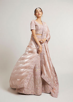 Mohey Women Blush Pink Lehenga with Imperial Motifs And Sequin Work And Potli Trims