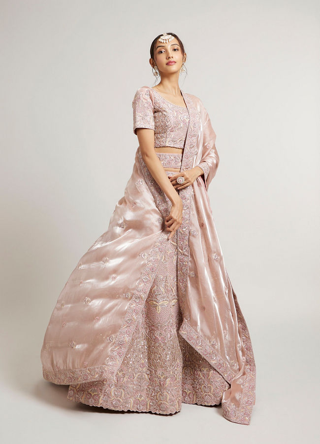 Mohey Women Blush Pink Bridal Lehenga with Imperial Motifs & Sequin Work & Potli Trims image number 0