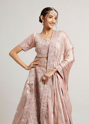 Mohey Women Blush Pink Lehenga with Imperial Motifs And Sequin Work And Potli Trims