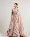 Mohey Women Blush Pink Bridal Lehenga with Imperial Motifs & Sequin Work & Potli Trims image number 2