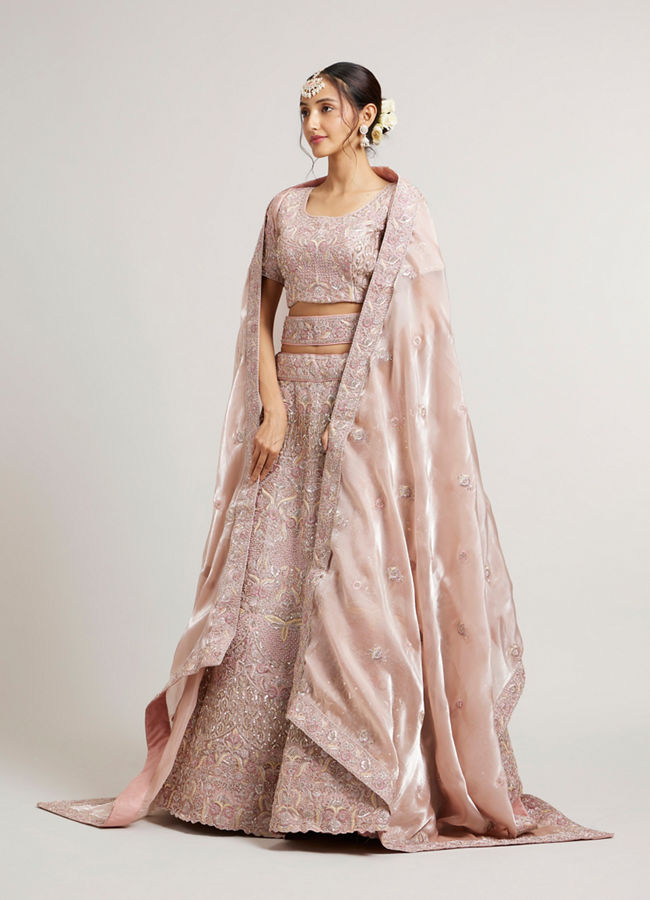 Mohey Women Blush Pink Bridal Lehenga with Imperial Motifs & Sequin Work & Potli Trims image number 2