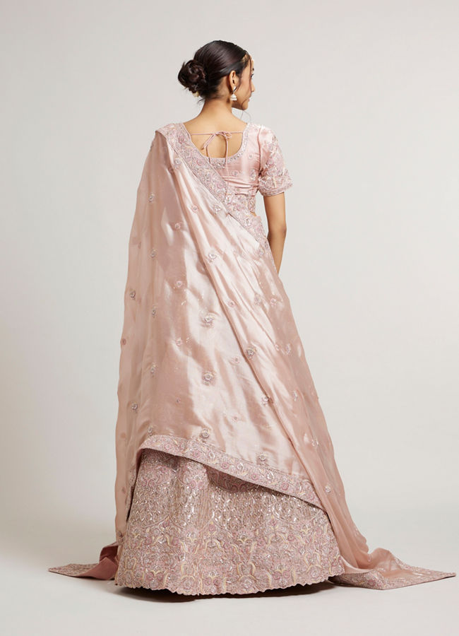 Mohey Women Blush Pink Bridal Lehenga with Imperial Motifs & Sequin Work & Potli Trims image number 5